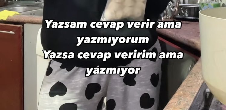 ZerenBasoglu's tweet image. 