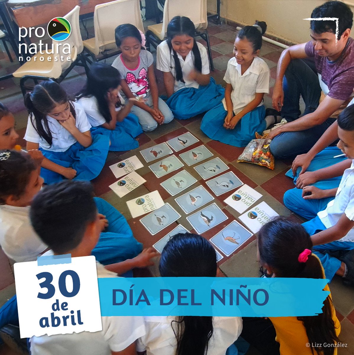 Este Día del Niño les compartimos algo del Baúl de Educación para la Conservación, ideal para aprender y jugar al mismo tiempo. pronatura-noroeste.org/cursos/cursos/…