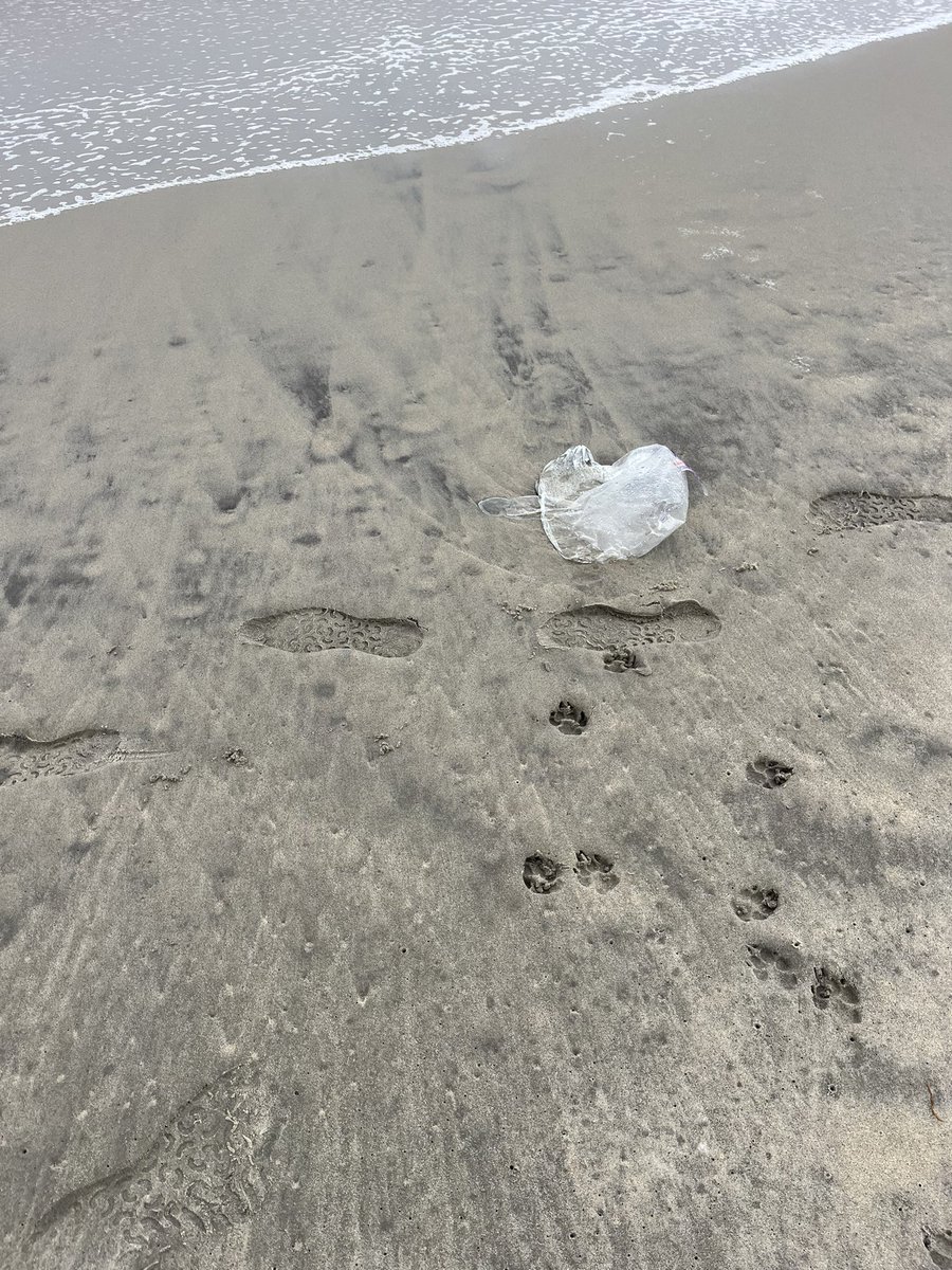OMG, that’s the biggest jellyfish I ever saw! Oh, wait…..  Sigh @CleanOcean @PlasticsBeyond @HealthyOceanCo @Oceanwire @PlasticPollutes @StopBigOil @AmChemistry