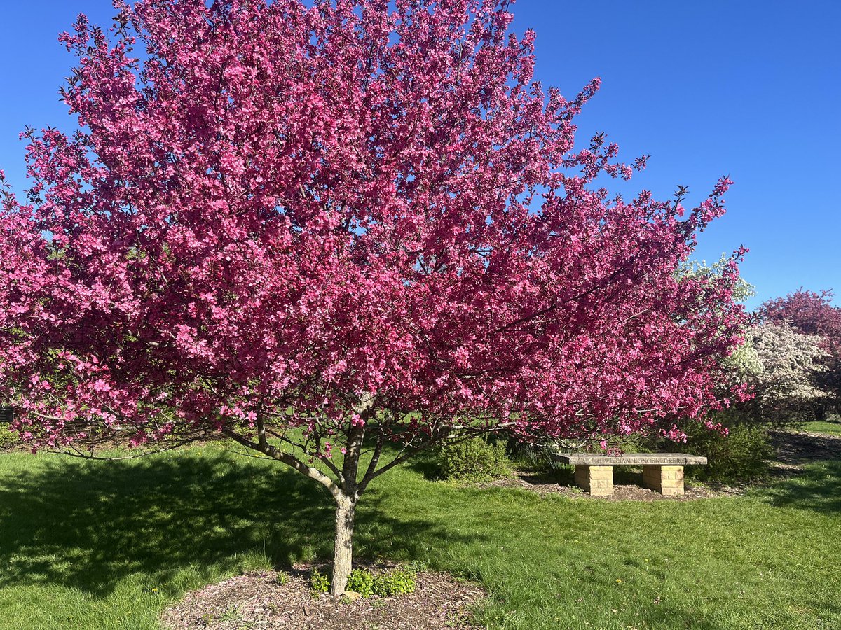 It was a beautiful morning <a href="/UWArboretum/">UW-Madison Arboretum</a>!
