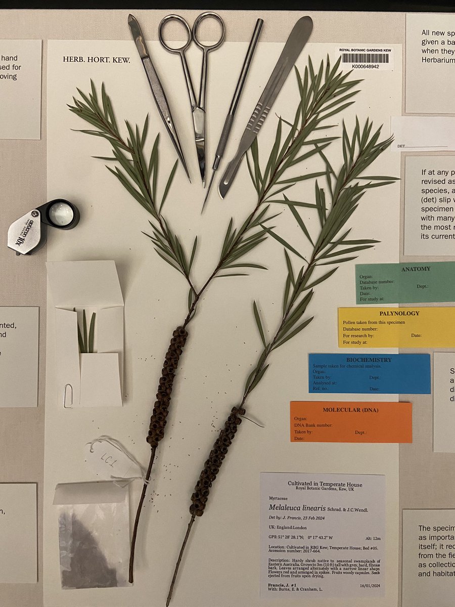 The beautiful &amp; sensitively curated ‘Beyond the Gardens’ exhibition is a little peak into the incredible collections at Kew. On display in the Marianne North Gallery, Kew @KewScience #curation #herbarium #mycology #ethnobotany #illustrations #kew