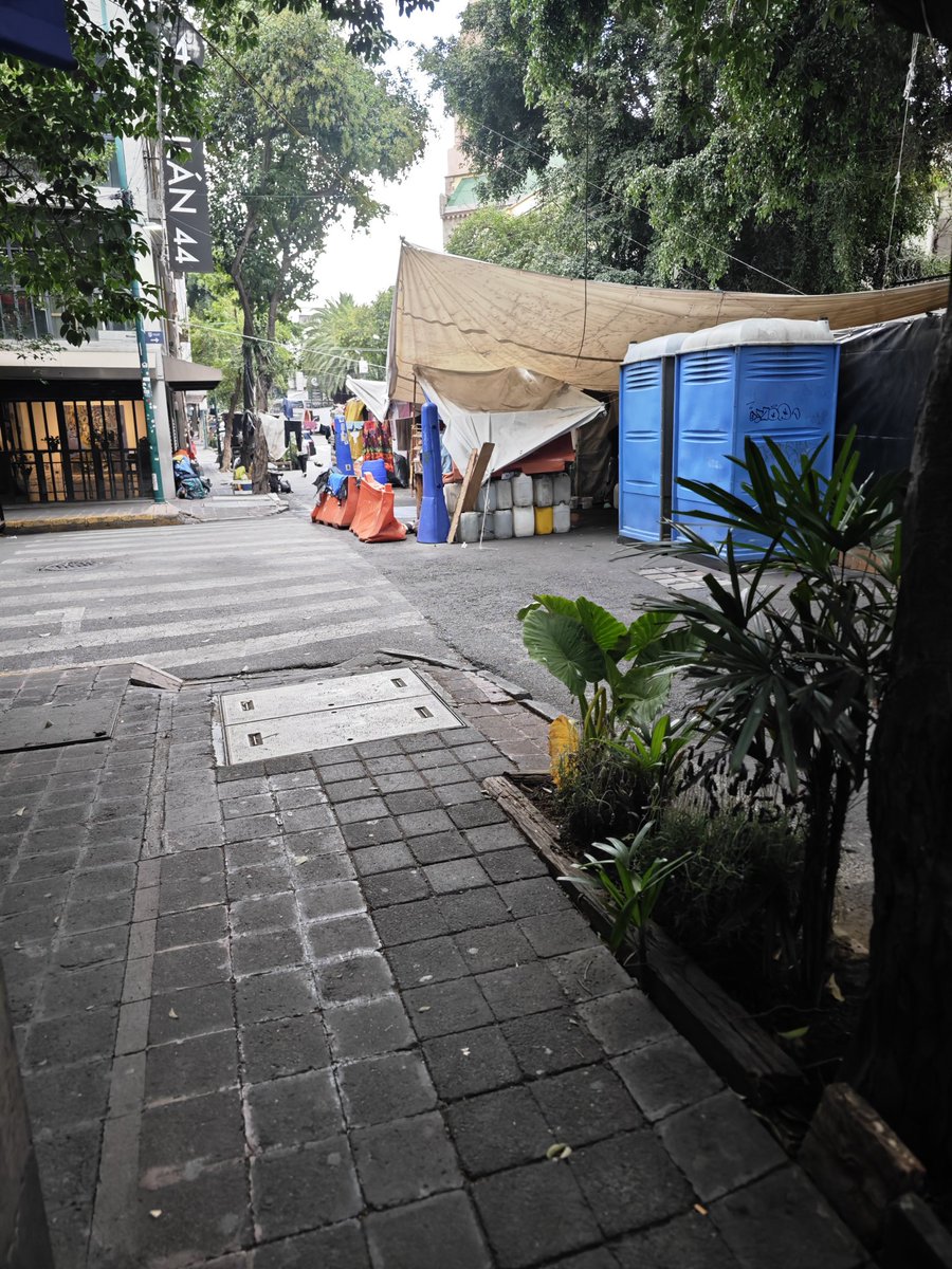 <a href="/catymonreal_/">Caty Monreal</a> <a href="/Claudiashein/">Claudia Sheinbaum Pardo</a> El proyecto darle las cálles de la colJuarez <a href="/AlcCuauhtemocMx/">Alcaldía Cuauhtémoc</a> a los golpeadores paracaídistas de morena <a href="/martibatres/">Martí Batres</a> los protege y <a href="/ClaraBrugadaM/">Clara Brugada Molina</a> se sirve de ellos empoderados como se sienten escandalizan roban se drogan extorsiónan explotan niños se alcoholizan todo impunemente