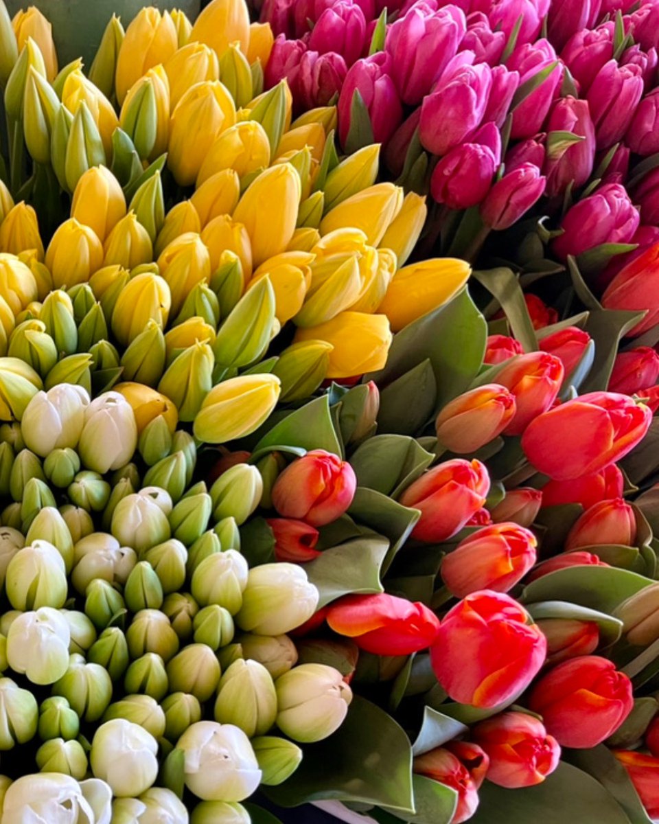 Flower farm to table 🌷 Bursting with color, fresh tulips from the farmers at Pike Place Market present quite a warm welcome at Goldfinch Tavern. Take home your very own bouquet during Pike Place Market's Annual Flower Festival on May 11th and 12th! #Seattle #Spring