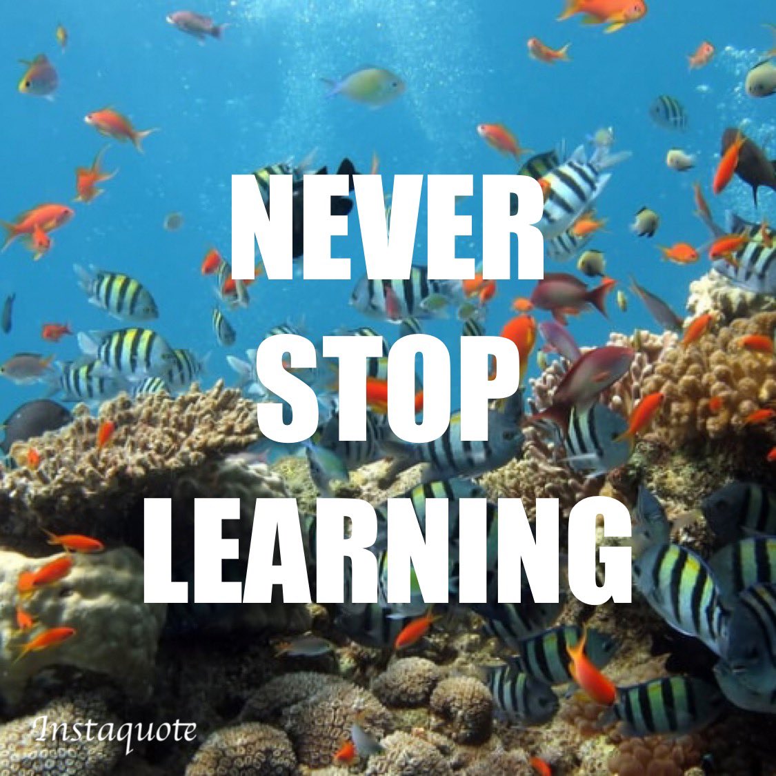 Any skill you learn can be used in everyday life in some way, shape, or form. And there are a lot of skills that can be learned for free. #LearnANewSkill #NeverStopLearning #KeepGoing #Growth #BusinessSkills #Entrepreneur #Education #EducateYourself #LearnMore #DoMore