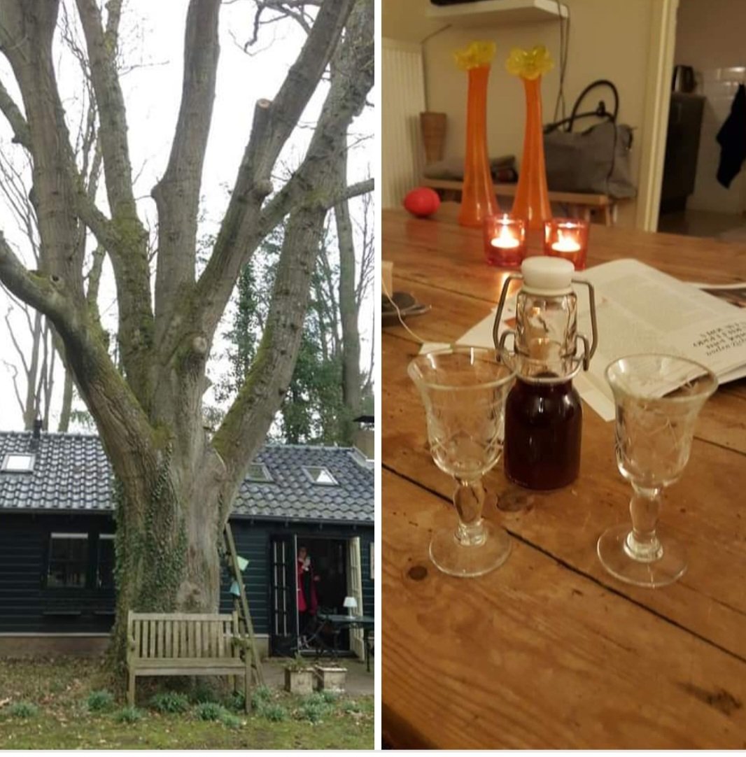 Coach_Karin's tweet photo. @SunshineCheek Moest ff zoeken en nog foto gevonden. Zit geen sauna en bubbelbad bij, wel leuke tuin. https://t.co/VJjGeuUKIO