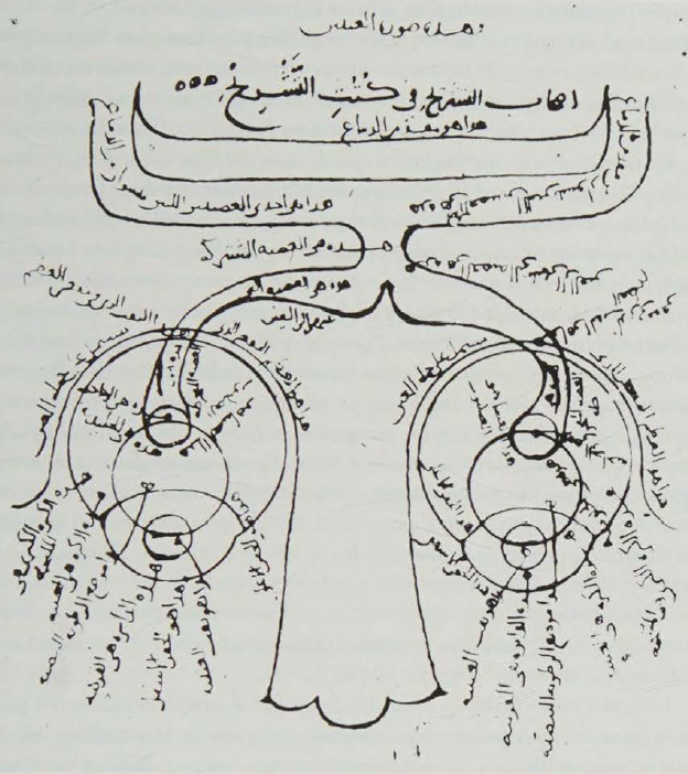 ayedh_RS's tweet photo. (1) صورة من أقدم مخطوطة لكتاب (البصريات) لابن الهَيْثَم (430هـ)  تشرح الرؤية.
(2) غلاف كتاب (البصريات)، طبعة بازل عام I572م. https://t.co/93RZUTF78L