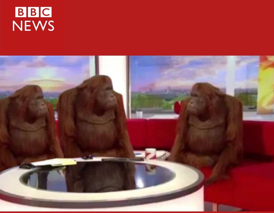 تصویری دیده نشده از کارشناسان خبره BBC :)