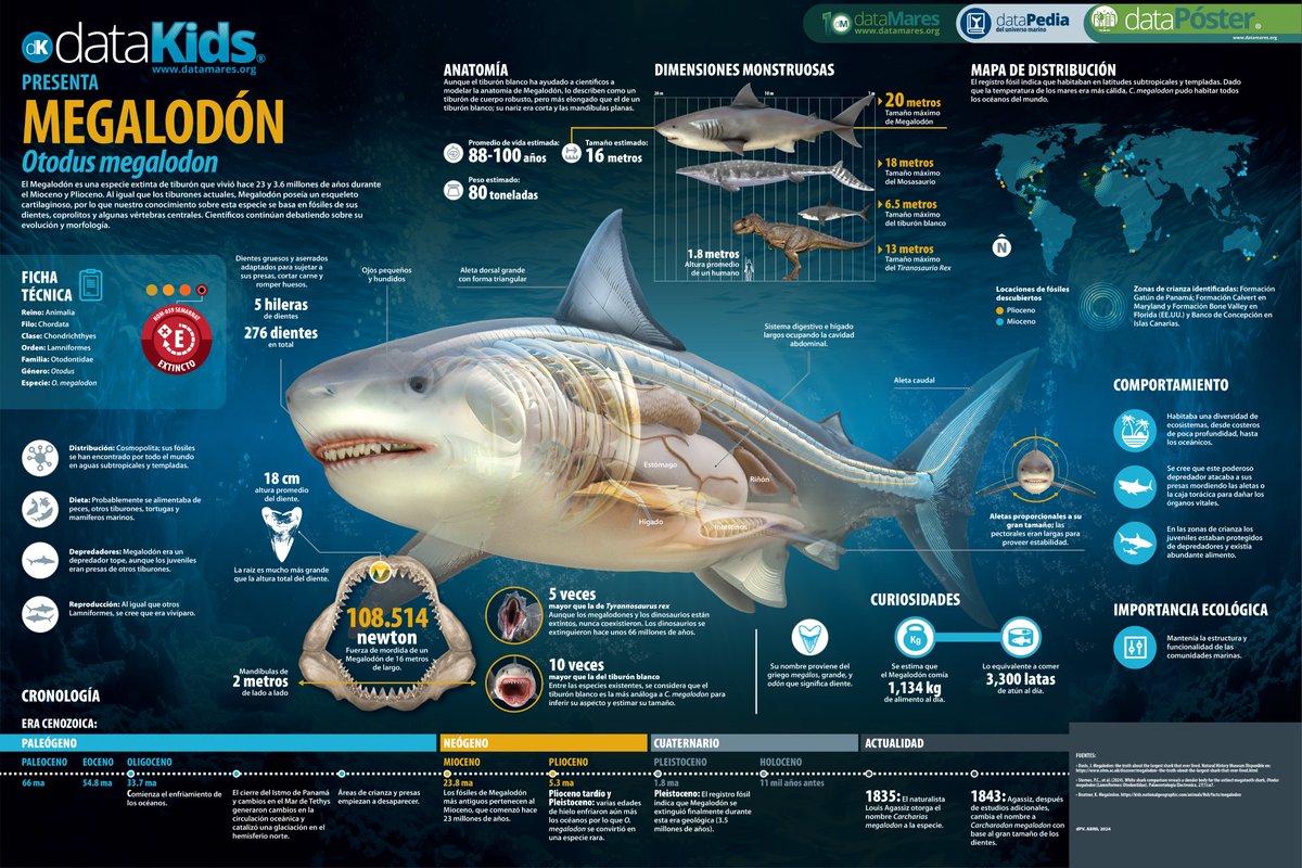 #dataMaresPresenta: Megalodón

🎈 ¡Feliz día del niño y la niña! Esta es una especie extinta de tiburón que vivió hace 23 y 3.6 millones de años durante el Mioceno y Plioceno.

🦈 datamares.org/dwd/dp_megalod…

#diadelniño #diadelaniña #infancia #dataKids #sorpresa