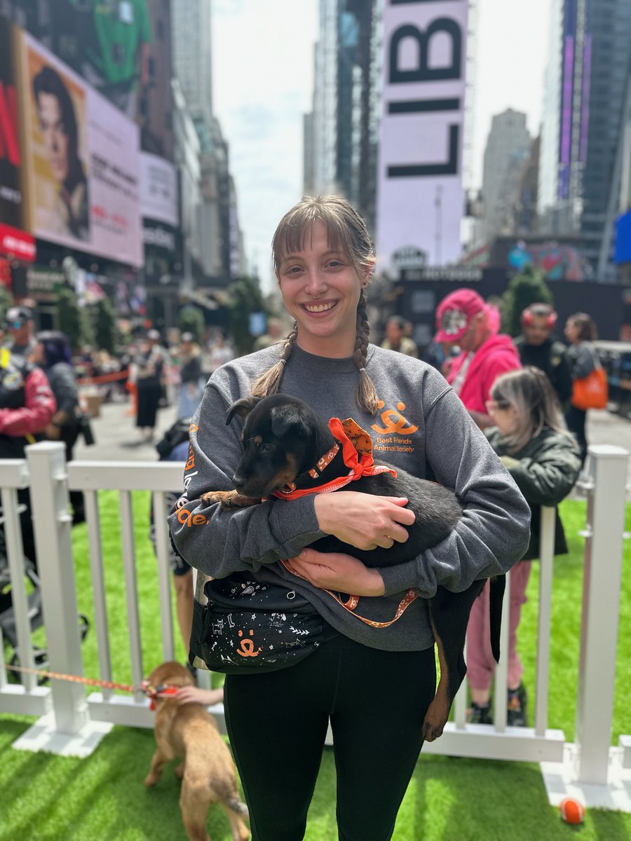 📍Times Square! Help us spread the awareness of adopting a pet by sharing your rescue pet’s story using #BringLoveHome 🧡🐾 ^st