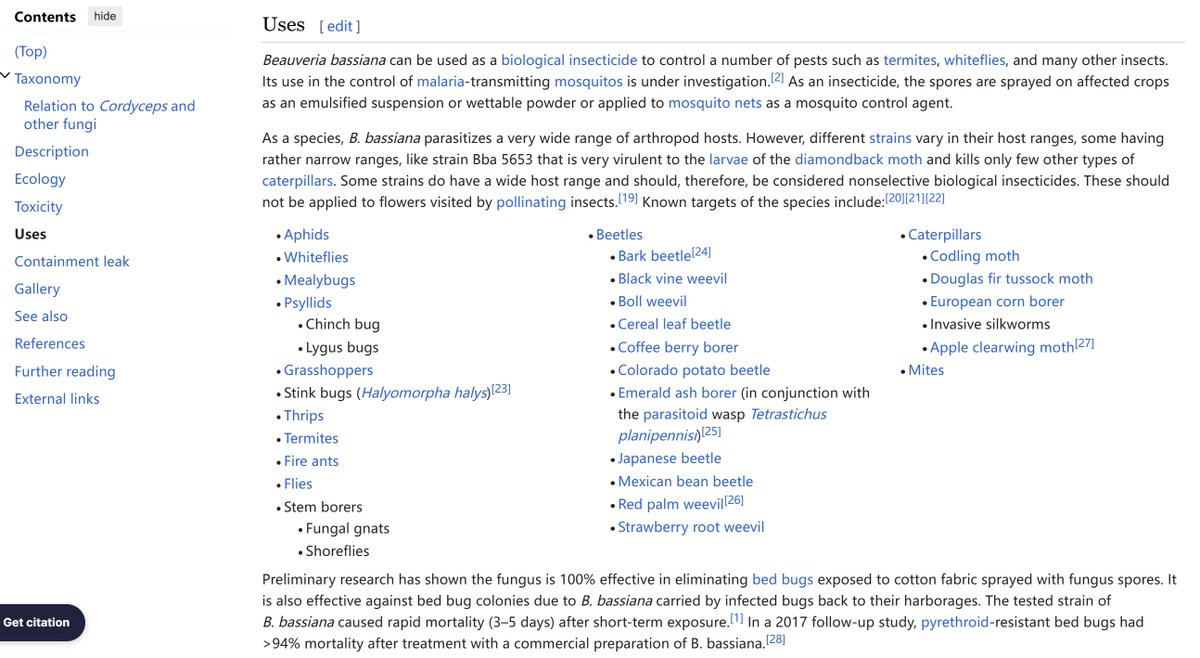 Followup. After I did some self-treatments with DE, cleaning, etc. Landlord sent a team to apply fungal spores for further biocontrol. I did a bit of research on that cuz I'm basically a microbiologist. I also learned about fungi when I took classes. What a callback.