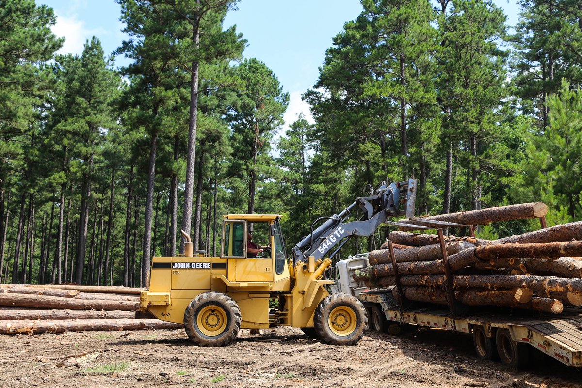 🪵🌲 Forest stewardship = increased timber products and economic impacts. The total forestry sector impact to the Texas economy is $41.6 billion and the timber produced on managed forestland directly contributes over $554 million to it. #TexasStewardshipWeek