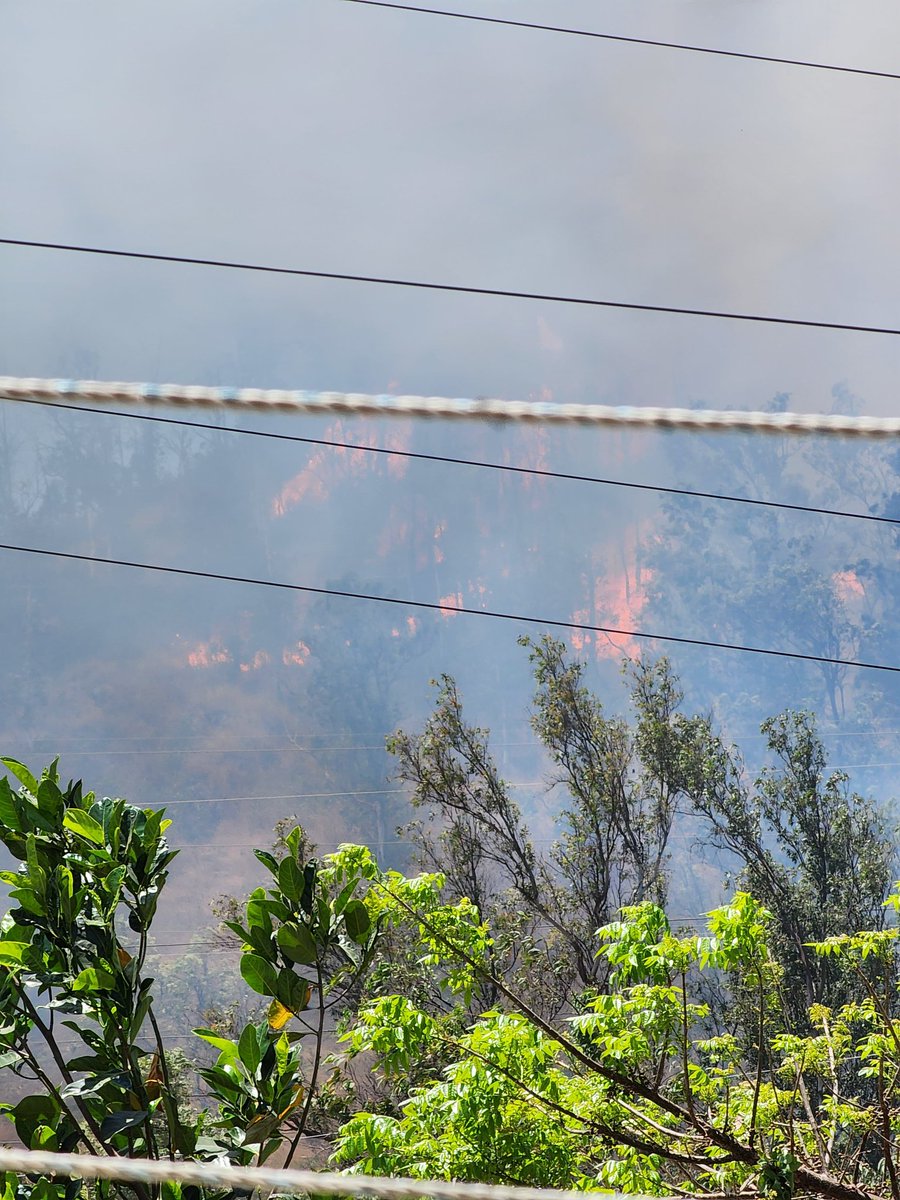 Nuestra preciada Sierra de San Juan está ardiendo nuevamente en llamas, es hogar de una gran diversidad de vida, necesitamos todo el apoyo para protegerla.

#TepicEnLlamas #EcocidioTepic #NoticiaNacional

@SEMARNAT_mx