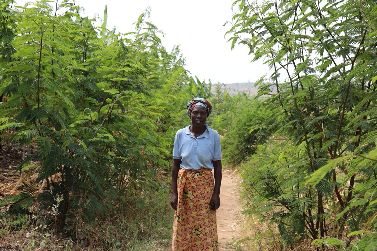 Today, @IucnRwanda and @RwandaForestry under #TREPAproject, funded by @theGCF joined @RwandaEast in the two-day workshop which aims to collaboratively refine the District Development Strategies for the next five years.

IUCN is scaling up #NaturebasedSolutions in @RwandaEast 🌿.