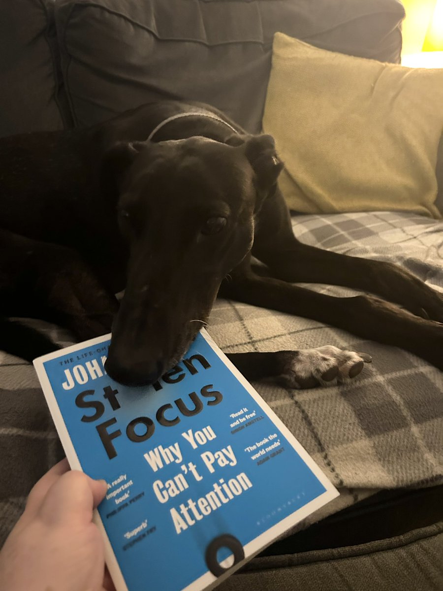 MissIPayne18's tweet photo. Great final training session and book recommendation from @tonysammon this week…I just need to get it back from the dog so I can start reading😂 @Cabotfederation https://t.co/Oku0TXhsM0