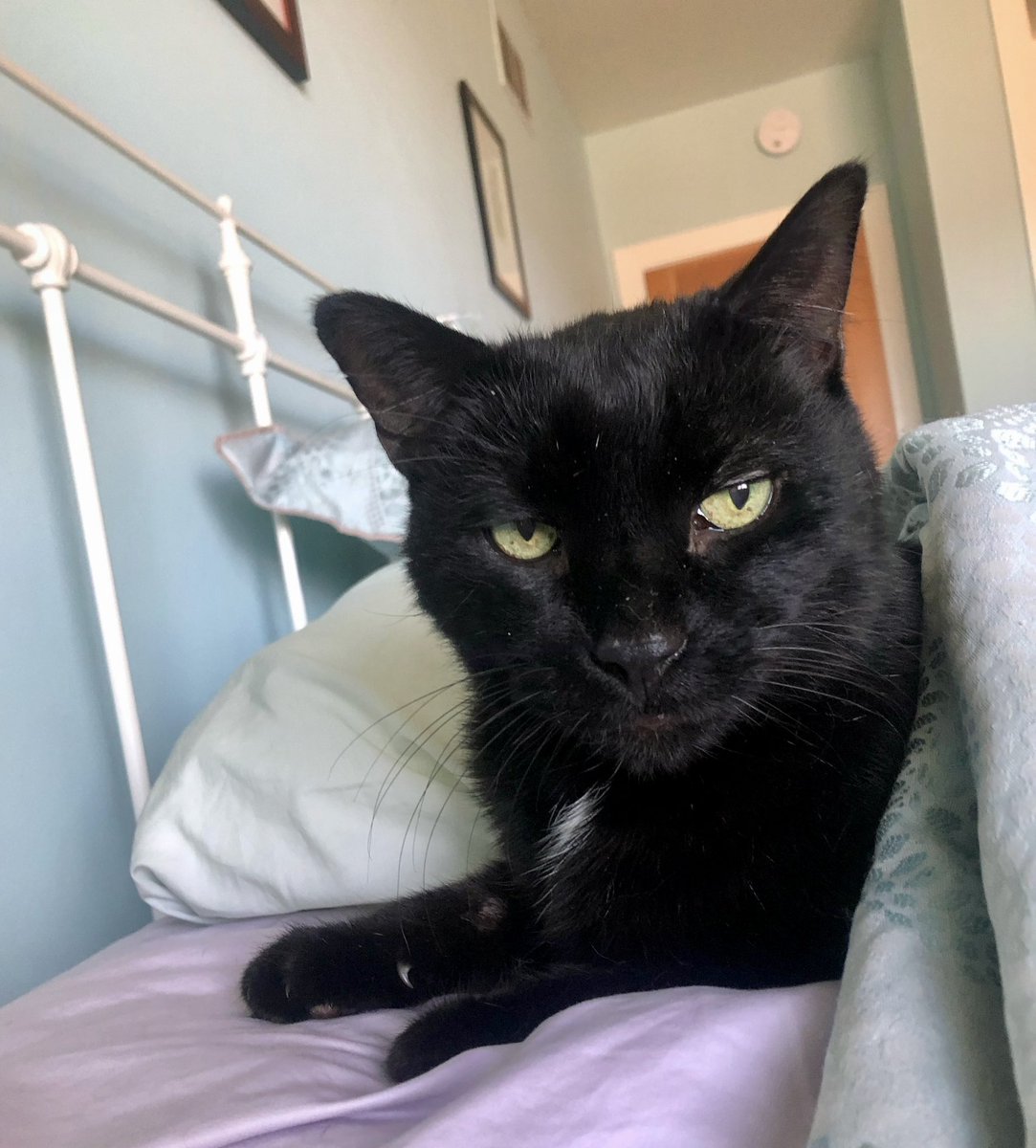 Chris Bohjalian tweet media