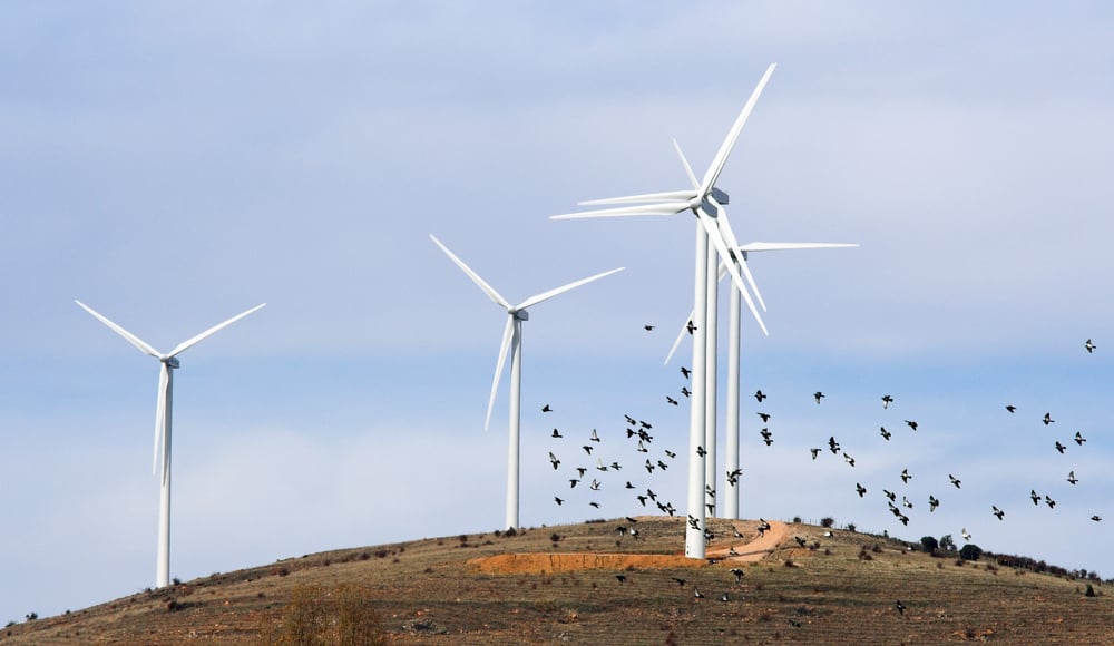 Umwelt- und Naturzerstörer Habeck: Artenschutz für die “Energiewende” faktisch abgeschafft

Die Brutalität, mit der Robert Habeck den Ausbau von Wind- und Solarparks vorantreibt, löst mittlerweile sogar bei Grünen Entsetzen aus. 

journalistenwatch.com/2024/04/30/umw…