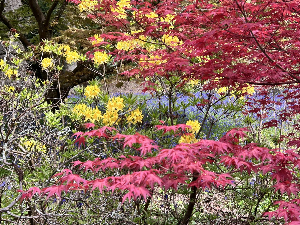 I love these layers @exburygardens