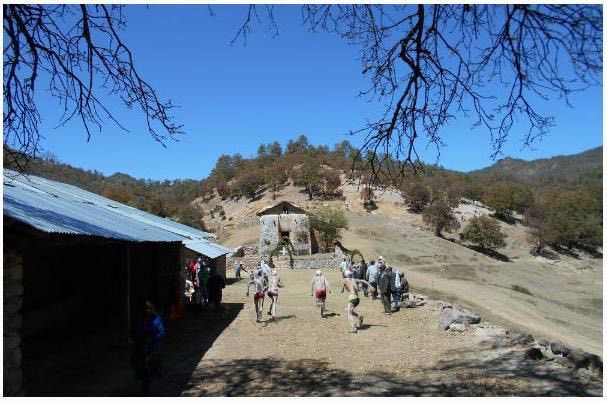 NoticiasRFD's tweet image. La comunidad Coloradas de la Virgen del municipio de Guadalupe y Calvo, #ganó un #amparo al @gobmexico para que #implemente un Plan de Protección a la zona.

Más información en 
radiofrecuenciadigital.com