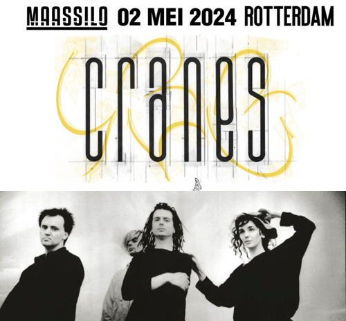 Hans De Four - Bsky: @hansdefour.be tweet media