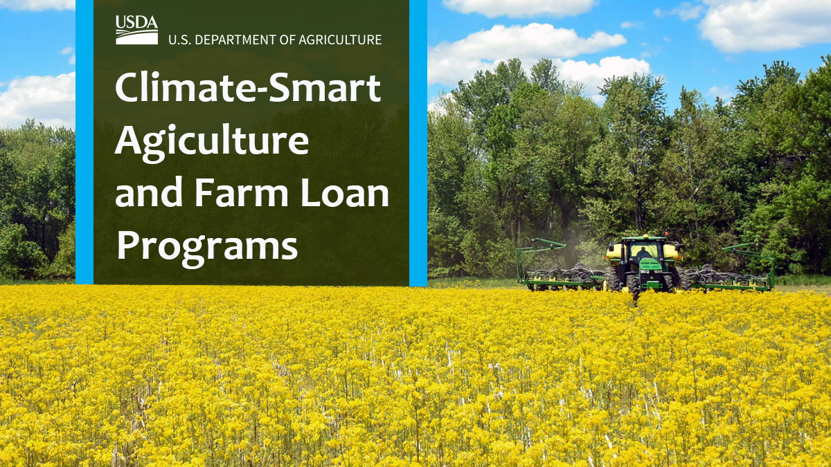 Did you know FSA farm loans can be used to support #climatesmart agriculture practices? Visit farmers.gov to see examples and learn more: bit.ly/4aYBhV0.