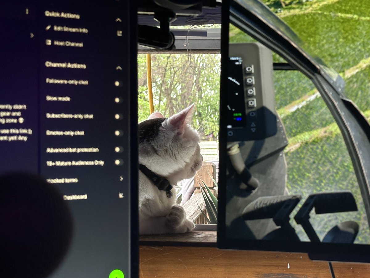 My cat always just chills in the window while I game, he’s enjoying the rain today and @GrayZoneWarfare