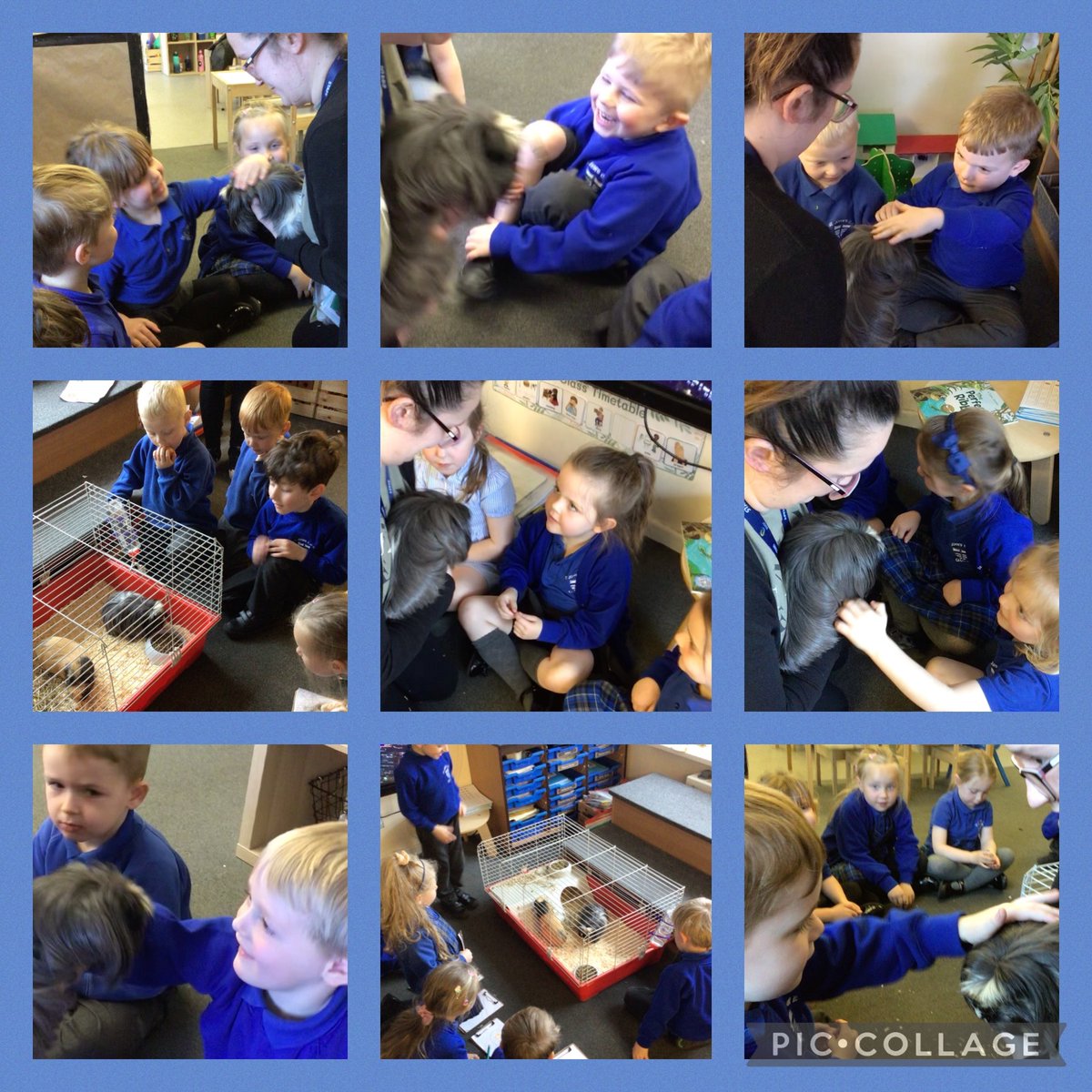Thank you to @HGCPSCHOOL for letting us borrow your guinea pigs, Sunshine and Simba. Our Reception children loved getting to know them today as part of our learning @QUESTtrust @CEO__Quest @PlayPals_QUEST #EYFS #aweandwonder