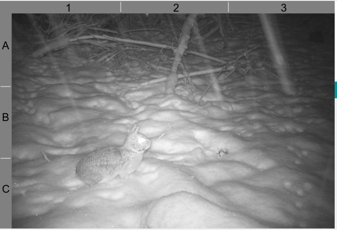 Liza Lehrer tweet media