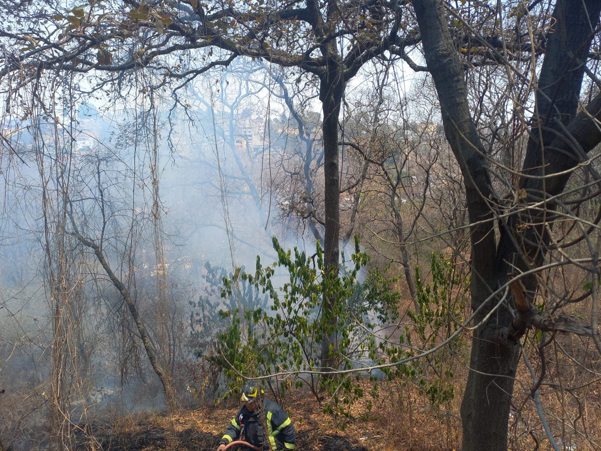 Bomberos_CDMX tweet picture