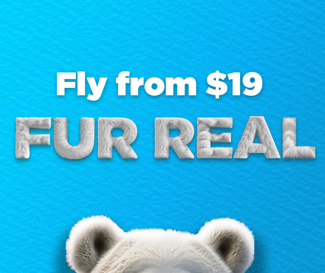 We've got an un-bear-ably good deal for you - flights from just $19*! Avoid FOMO and book today at bit.ly/4aVd425. 🐻✈️ *Terms and conditions apply.