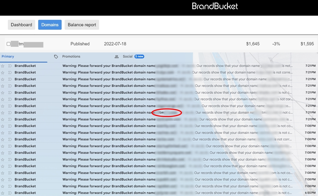 Jack Domainer ⚡ tweet media