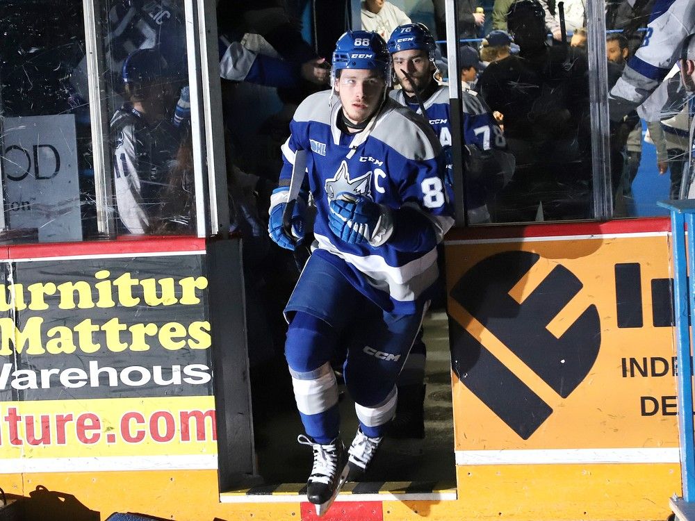 ‘It was just such a fun team’ — Sudbury Wolves reflect on highs and lows of 2023-24 #OHL season, playoff heartbreak and look to uncertain future thesudburystar.com/sports/local-s…
