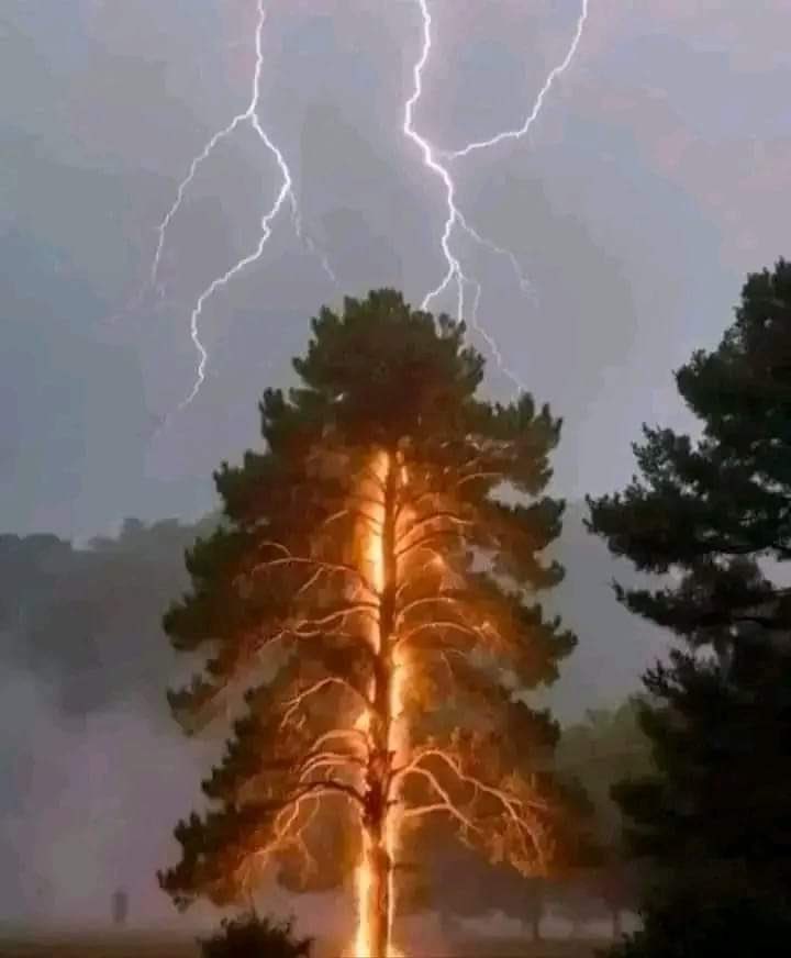 This photo has been captured in district Ramban j&k while lighting strikes a tree.

Comment please,