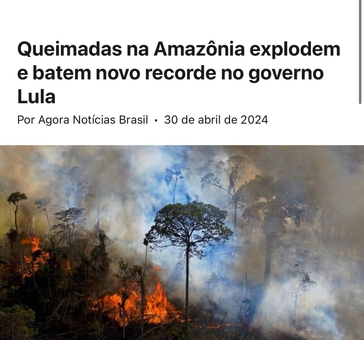 Olá comunista Leonardo Di Caprio, durante os 118 primeiros dias de 2024, houve um aumento significativo de 154% nos focos de incêndio registrados na Amazônia, estabelecendo um novo recorde no segundo ano do DESgoverno lula

@LeoDiCaprio, @GretaThunberg ficaram cegos? Presos?