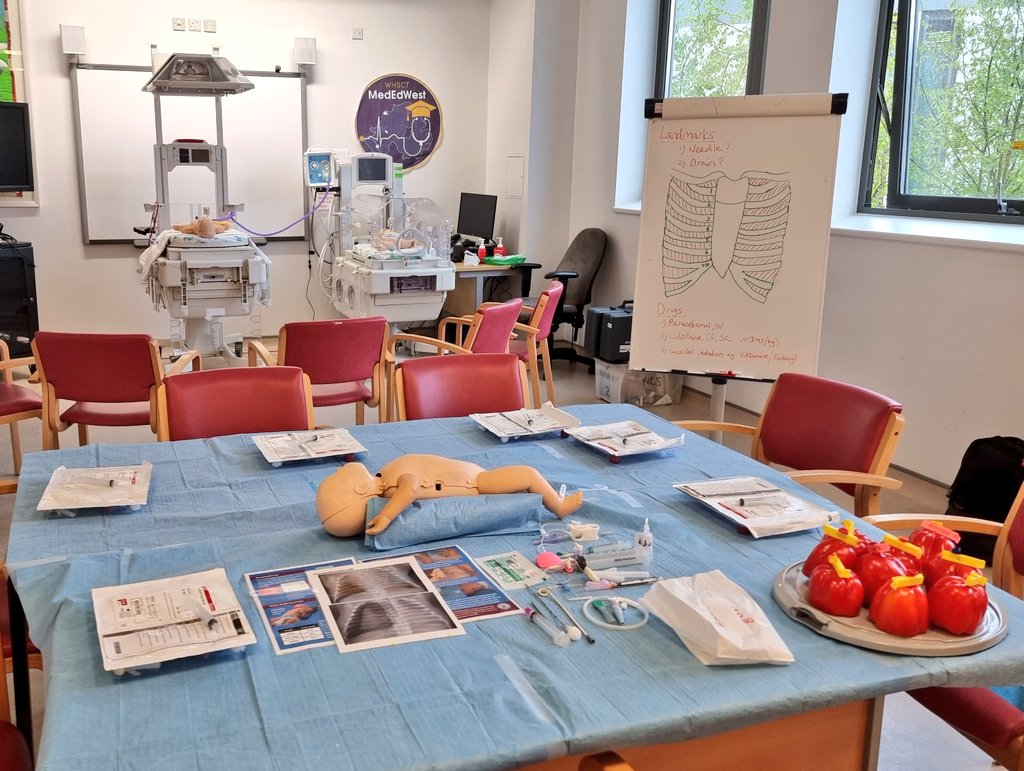 NeoSim Team tweet media