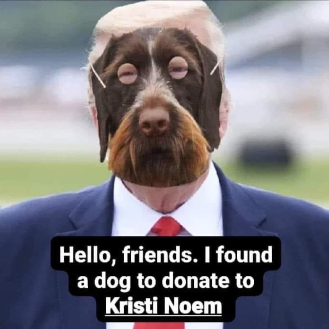 Oralè Resisters 
Law and Odor
The Trump K9 Files
#LawAndOdor #K9Noem #NoBeans4Trump #NoTacos4Trump #NoTacos4Arizona #Florida4Women #BidenStrain