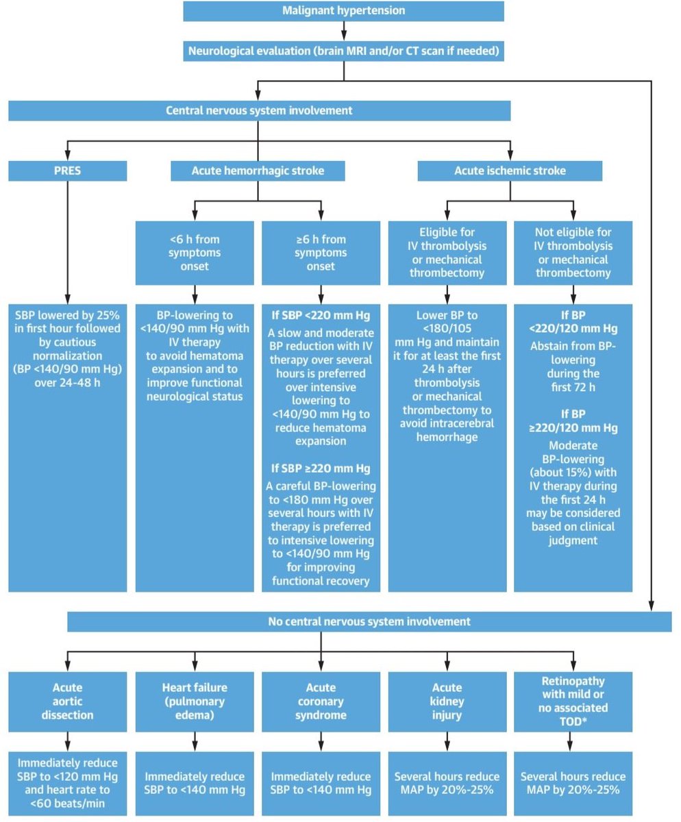 🆕 Hipertensión maligna: Una enfermedad cardiovascular sistémica. 📕 JACC 📁 cardioteca.com/hipertension-a…