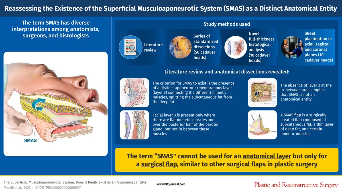 This @prsjournal study establishes that #SMAS is not a true anatomical entity, but rather a surgical terminology. Find out more here: bit.ly/SMASentity #PRSJOURNAL #PlasticAndReconstructiveSurgery #SMAS #AnatomicEntity #SurgicalTerminology