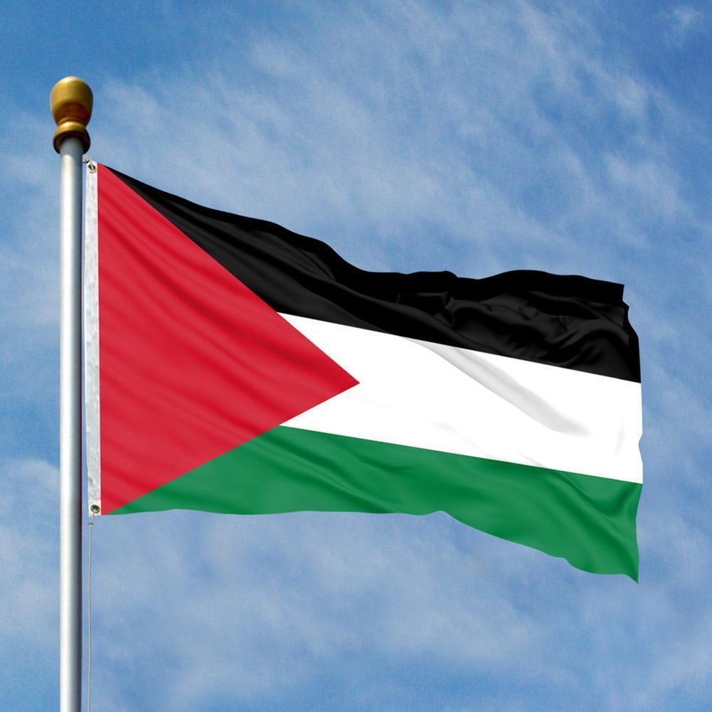 Ich bin für Palästina 
Ein freie Palästina würde Frieden bringen. 
Waffenstillstand wird kein Frieden bringen.