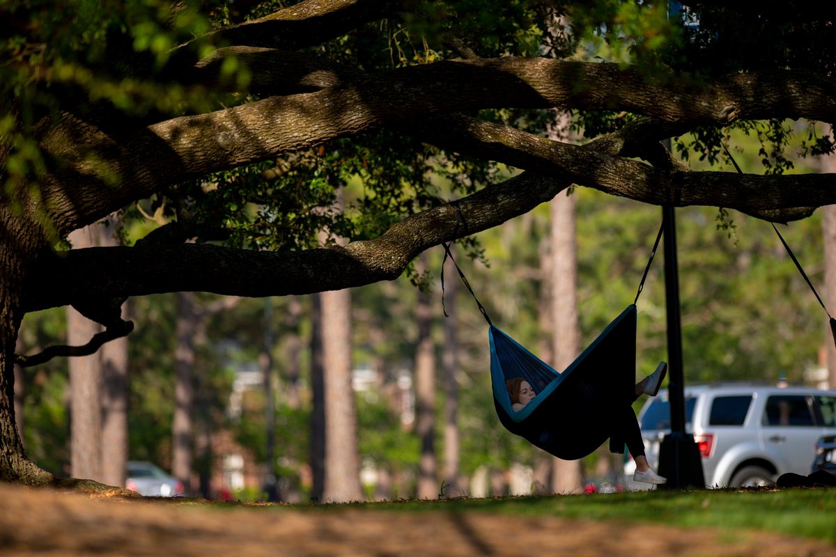 Wishing our Seahawks a restful and happy Reading Day!