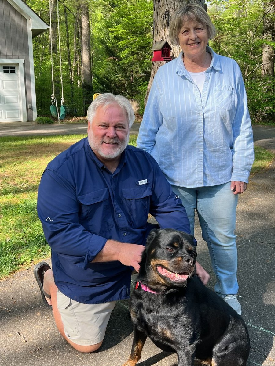 Thrilled to say RHR SALSA has found her forever home! Congratulations Salsa and huge thank you to her foster family! #Adopted #Rottweiler #FostersSaveLives #AdoptDontShop #FureverHome #RHR #Congratulations #CuteDog #RescuedToAdopted #RescueDog #AdoptedDog #RescuedIsBest #HeartDog