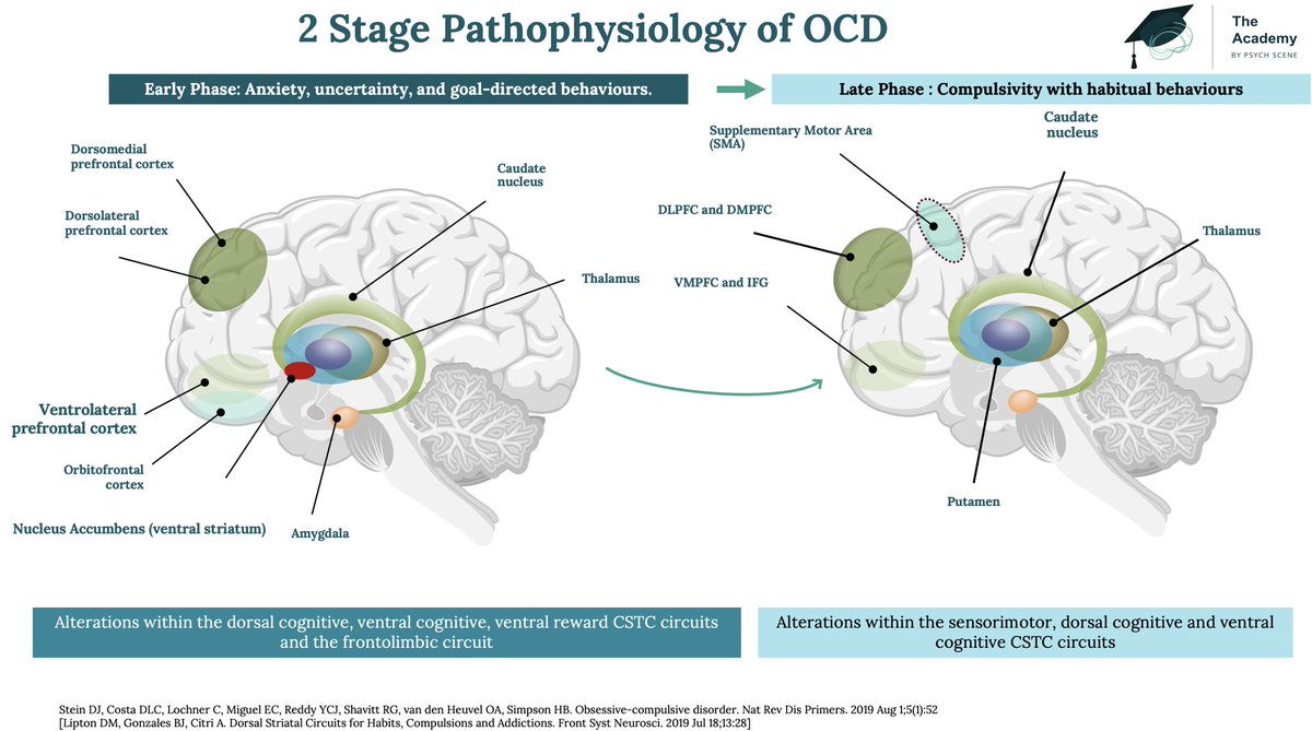 Obsessive–compulsive symptoms (OCS) in Treatment Resistant Schizophrenia - Relationship to Psychosis vs Clozapine 🚨 196 clozapine-treated individuals 👉High incidence of significant OCS observed in 37.9% of the patients, with checking behaviors being the most common.…