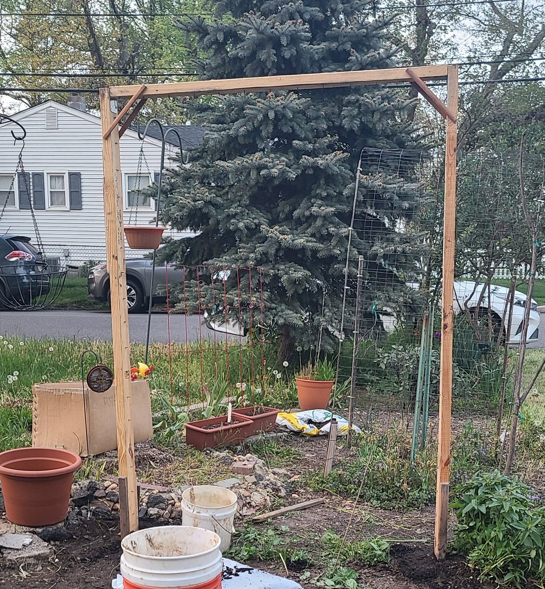 I earned my queer card for the year.