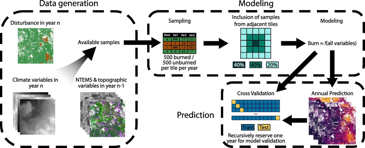 Where & how much #wildfire can be expected?🌲🔥
We use #timeseries #Landsat, #climate, biotic & topographic predictors to model.
Mulverhill et al. Multidecadal mapping of status and trends in annual burn probability over Canada’s forested ecosystems. 🔗sciencedirect.com/science/articl…