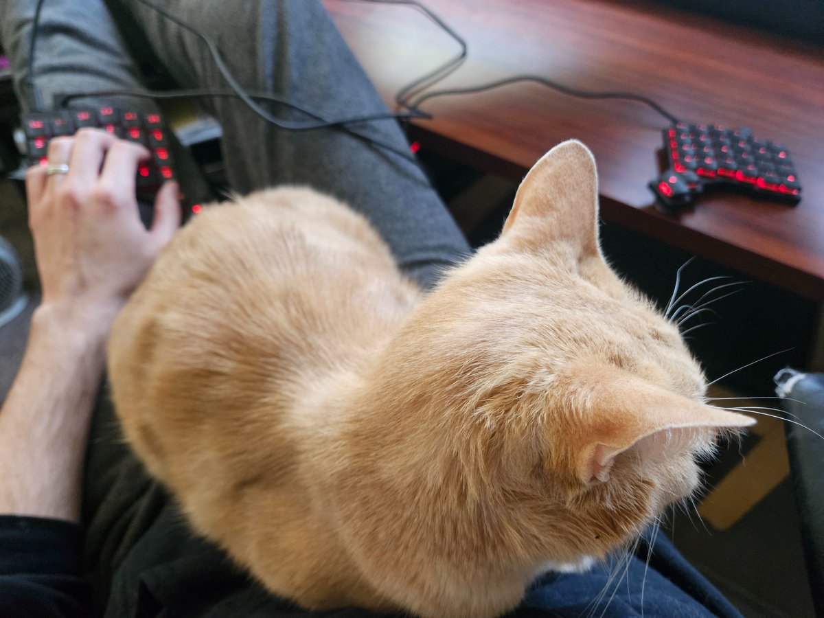 When I got a sitting/standing desk that goes low enough for me to recline with my legs on it as well as high enough for me to stand at and then got a Voyager split keyboard that can control mousing as well as typing, this is exactly what I was planning for. Exactly. Good boy Ajax