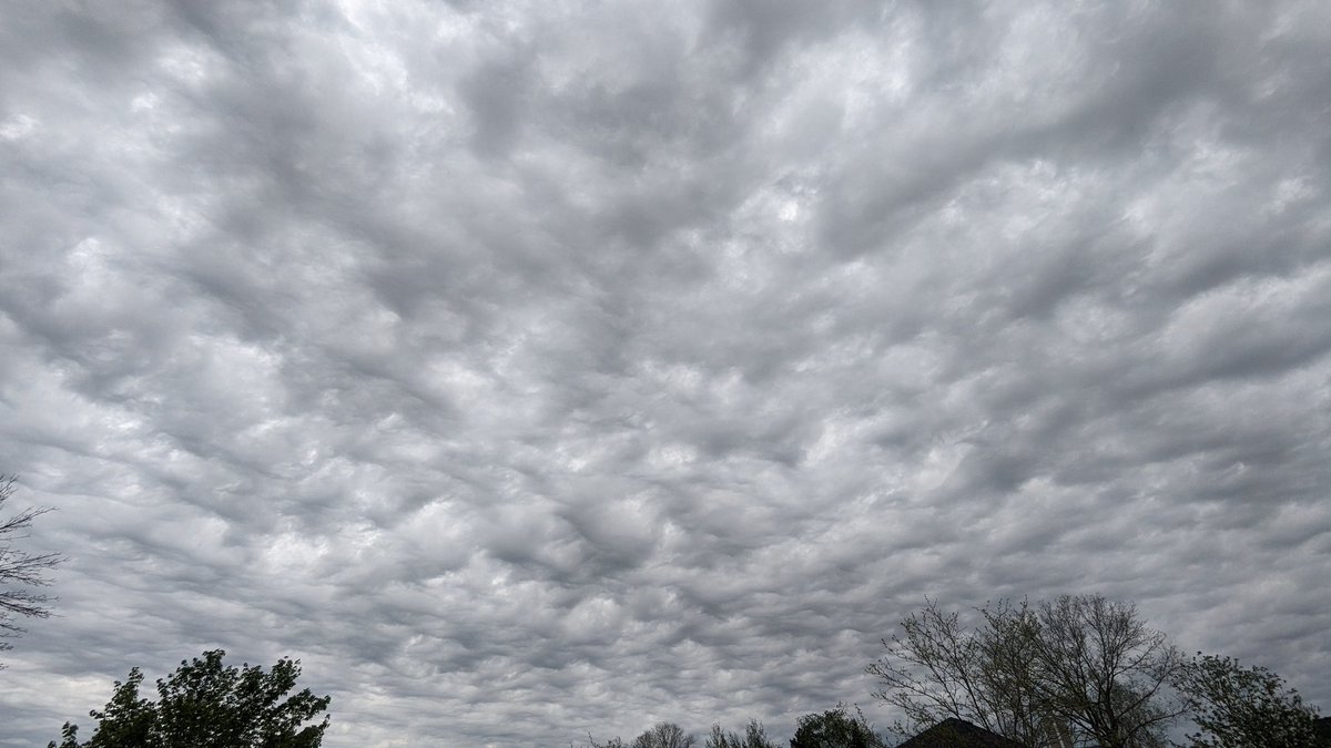 Cotton ball clouds after the first rain went thru. Cedar Rapids IA @KCRG_FirstAlert @GHeydWx @KopelmanWX @KGAN_Weather @WXSchnack @KWWLStormTrack7 @IAStormChasing @NWSQuadCities  @KyleKielWX @eileenloanWX @CoreyT_WX @NStewWX @ICHawkeye