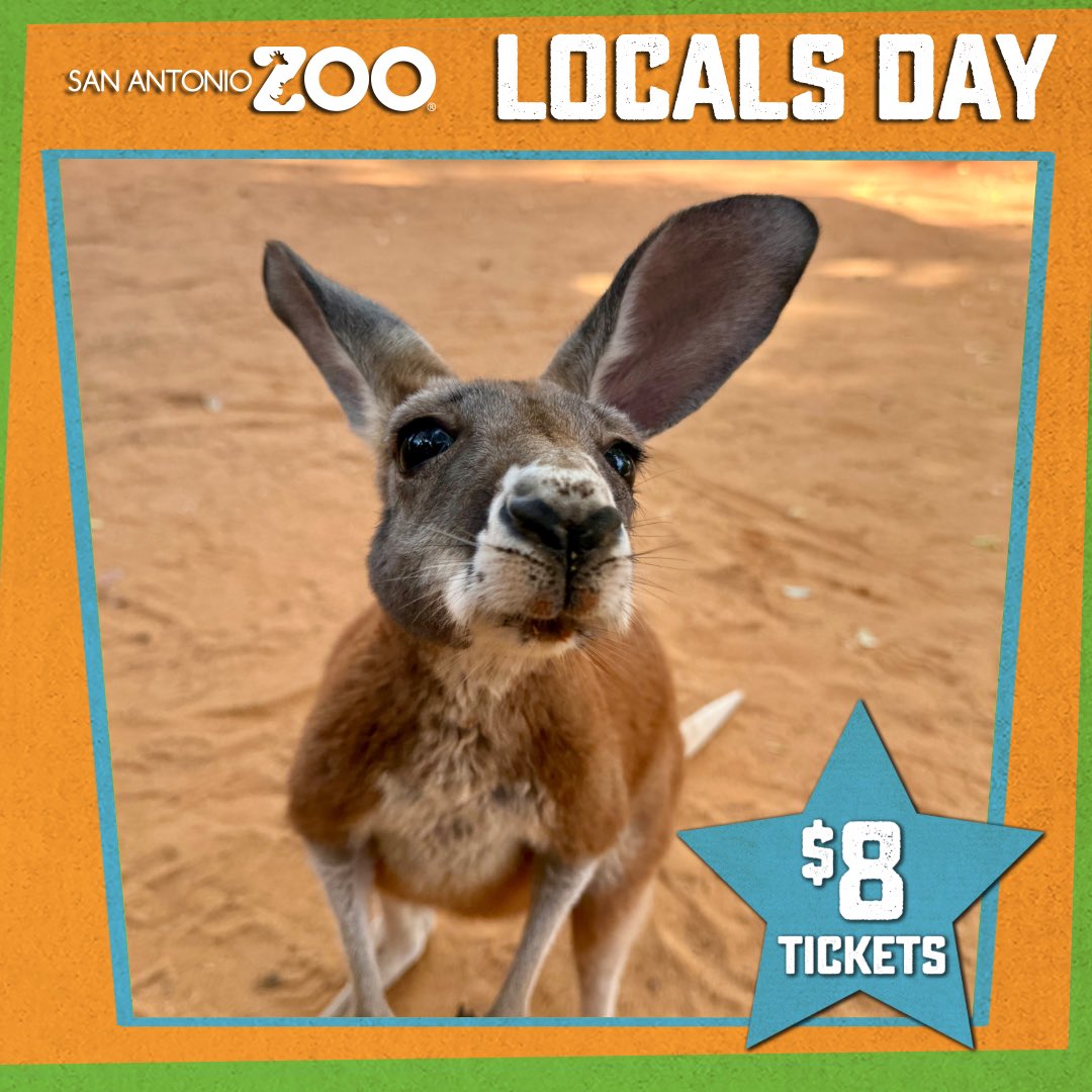 Throughout each year San Antonio Zoo offers “Locals Days” featuring $8.00 admission tickets for Bexar County Residents. New for 2024, the zoo will be celebrating each City Of San Antonio Council District and each Bexar County Precinct on different dates. While all Bexar County…