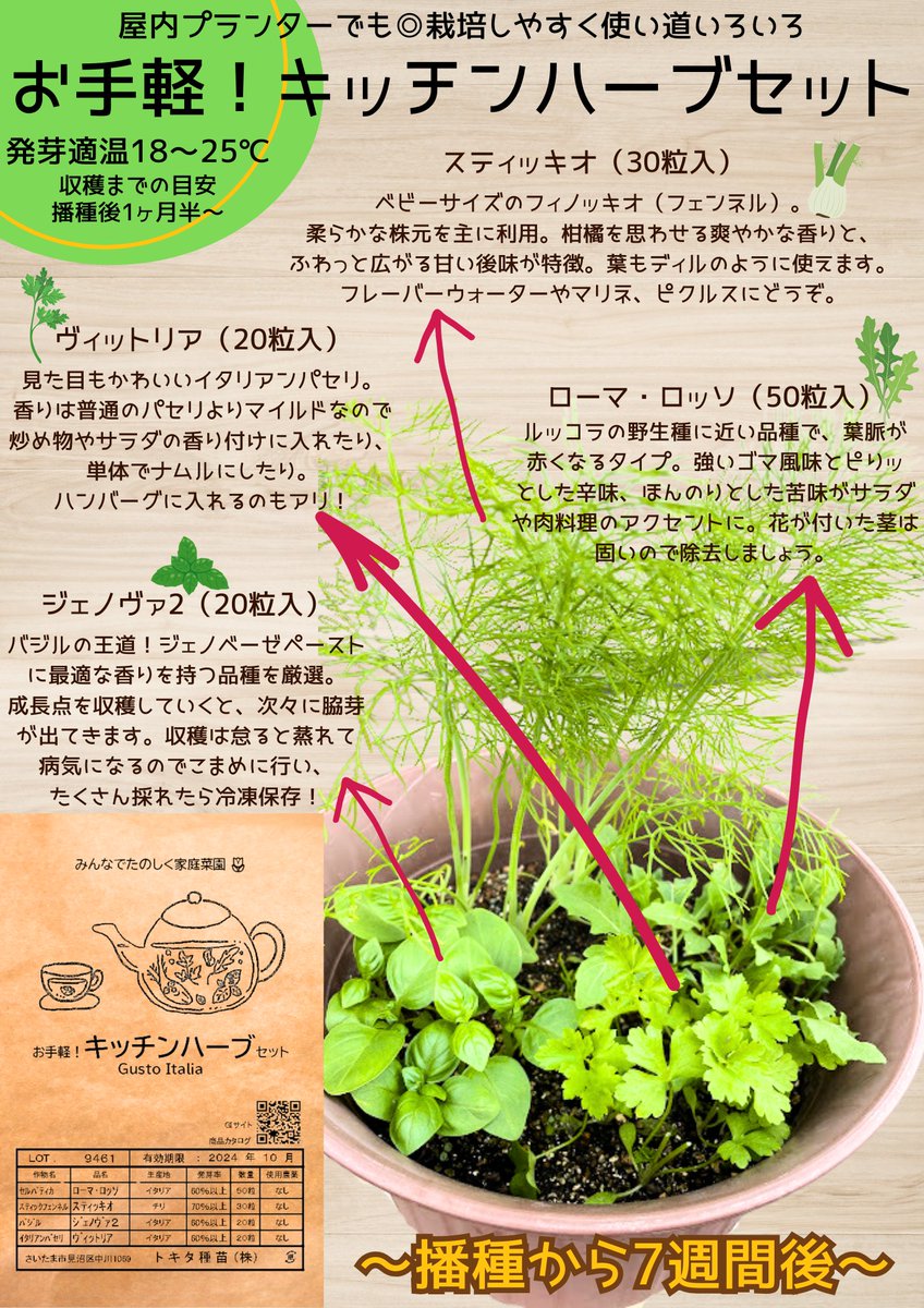 TOKITA_SEED tweet picture