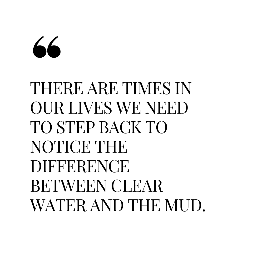 Don't get stuck in the mud.

#quote #successful #life #strength #mindset #positivethoughts