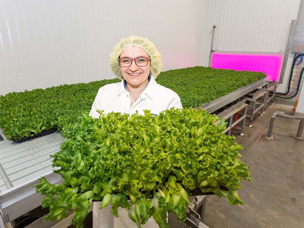 A potential backstop to 'the next Black Swan event,' the largest vertical farm in Canada opens in Calgary #yyc #yycbiz calgaryherald.com/business/local…