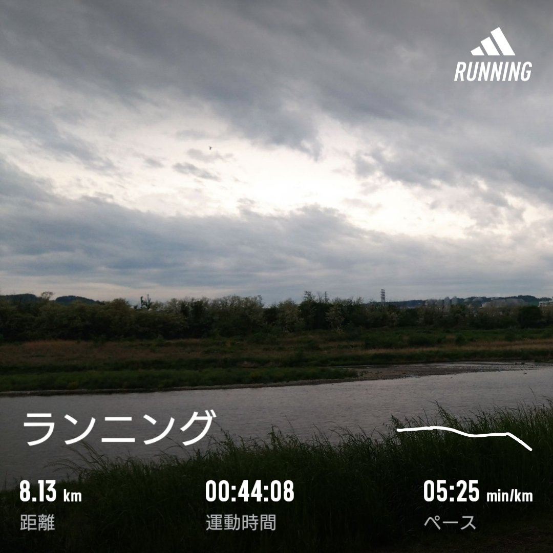 雨降る前に走ってきた🏃 今月は沢山歩こう月間なので、8000歩に届くよう8kmにした 今朝は涼しくて走りやすく、終始フォームも速度も安定した走りができた #スロージョギング #有酸素運動 #セロトニン #ドーパミン